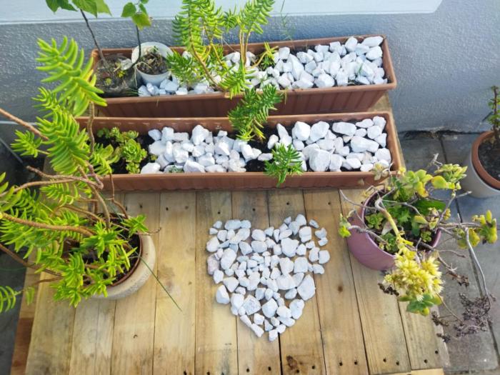 21 Pin Oak Guest House