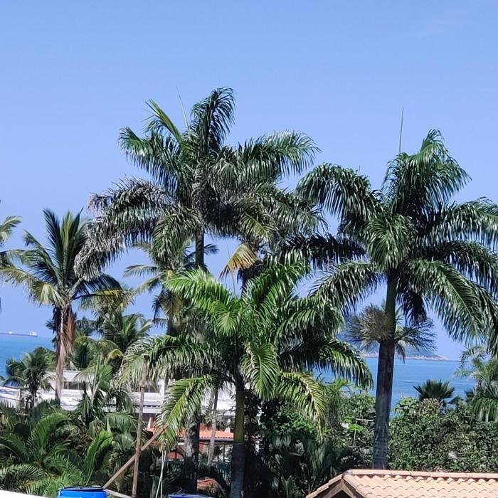 Guarujá - Praia da Enseada - 200 metros da praia - Apartamento inteiro