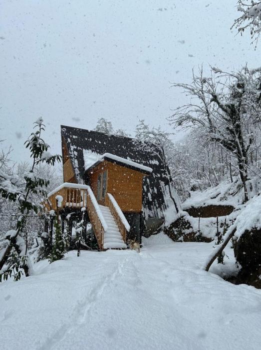 Thomas hut-თომას ქოხი