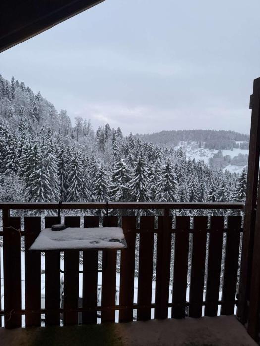 Votre havre de paix avec vue sur la forêt