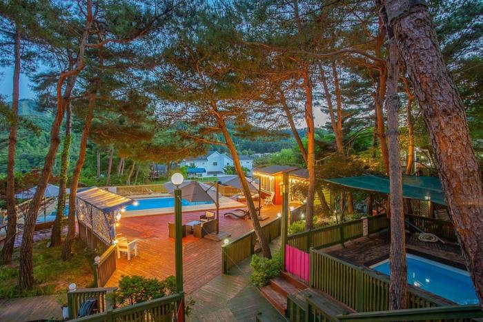 Hoengseong Marshmallow Pool Villa pets allowed