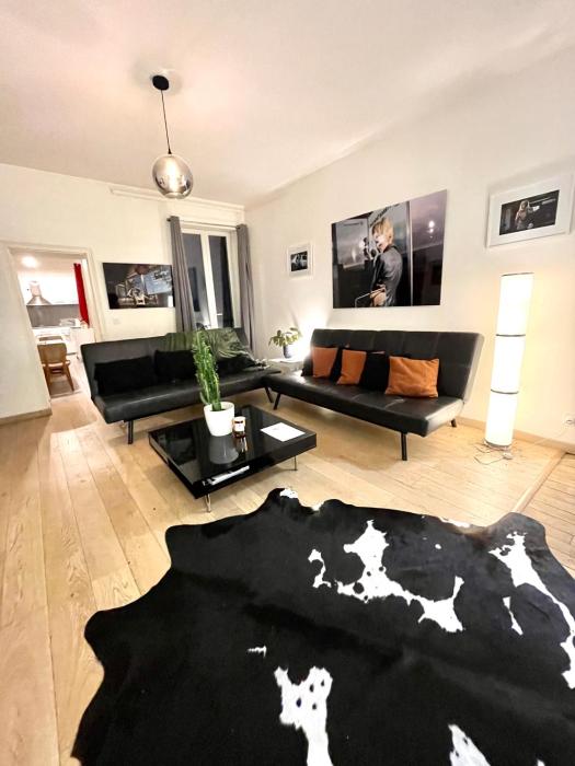 Vaste appartement avec tout Paris à vos pieds