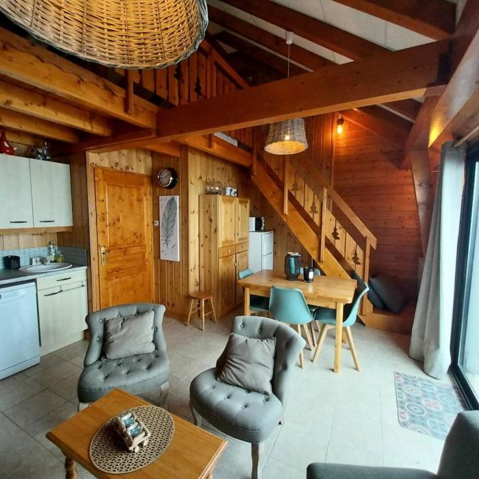 Résidence Means - Superbe T2 avec mezzanine pour 9 personnes sur la station du Réallon MEANS1 MAE-8001
