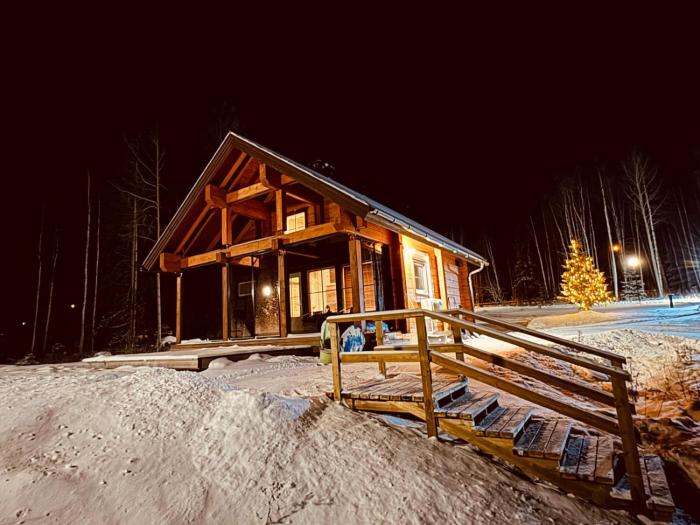 Arctic log house Hirvas