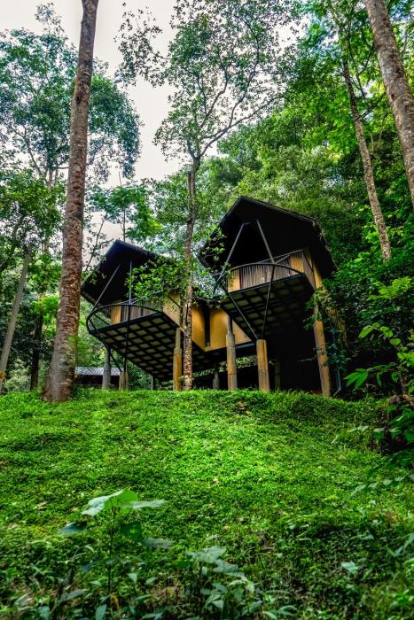 Song Of The Trees Nature Stay Kutitkanam by LexStays