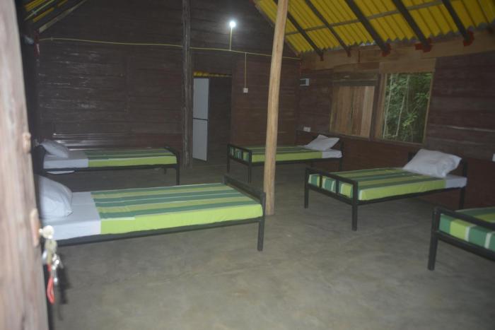 Forest Camping Fun Hostel