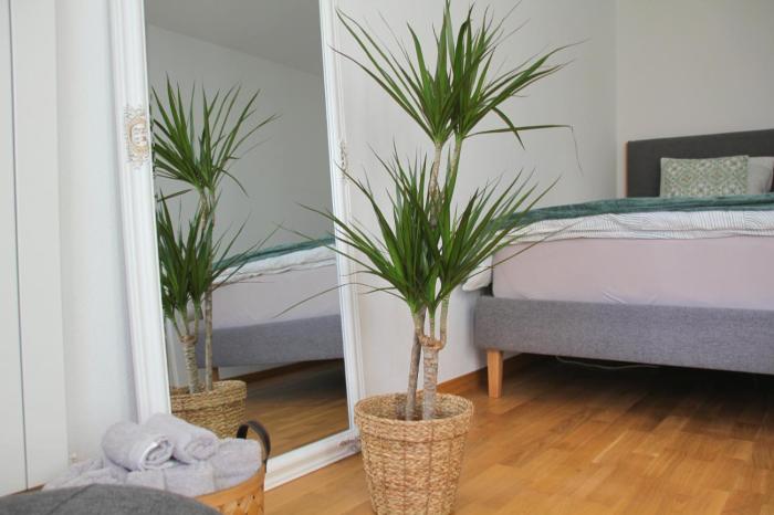 Zentral I 20Min nach Interlaken