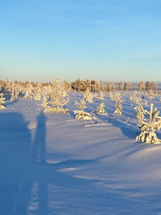 Wilderness Villa Lamu
