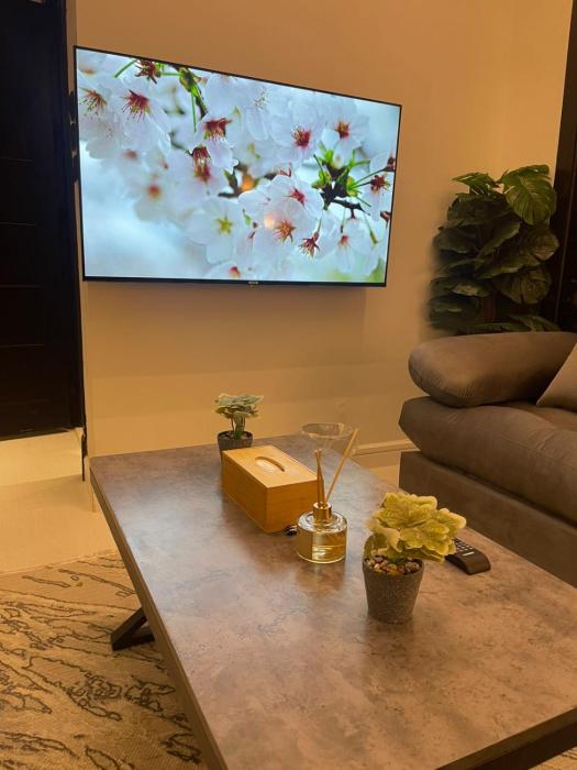 شقة أنيقة غرفتين نوم وصالة