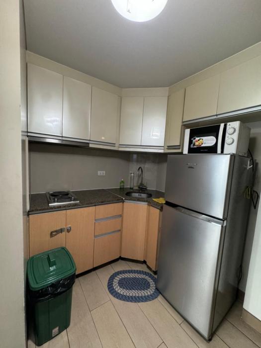 Alaya Place - Palm Tree II - in front of NAIA 3