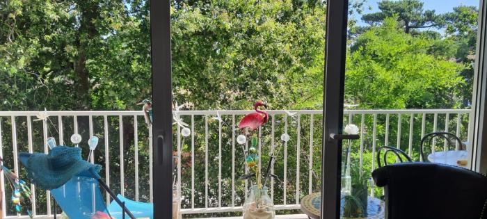 Appartement Arcachon