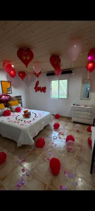 Villa las rosas