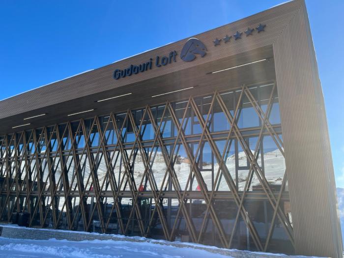 Hotel Gudauri loft, Nanas apartment #205 mgzavrebi