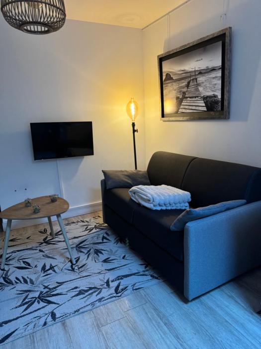 Appartement cosy face à la basilique Saint Remi