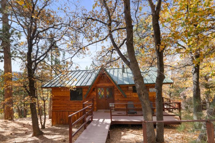 A Woodsy Mountain Retreat - 2 Masters, Slope Views, Fireplace, Deck, BBQ