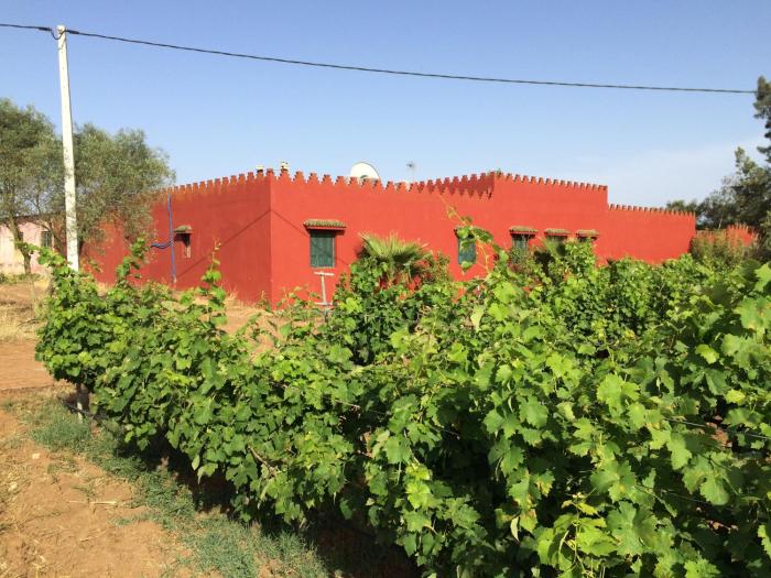 premium farmhouse with pool Rabat