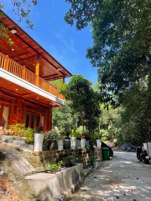 Ong An House -serenity meets nature