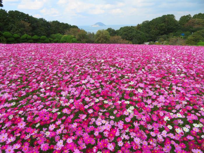 Nokoshima Island Park Villa Sakimori