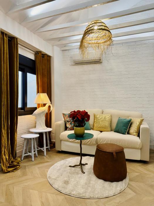 Luxury historic Centro apartment