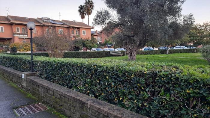 La Mattina - Fiera di Roma - Aeroporto Fiumicino