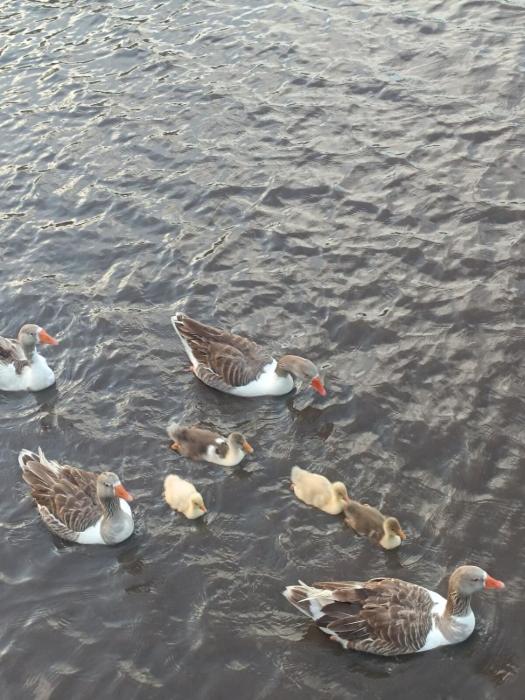 Casa Praia Guaratiba