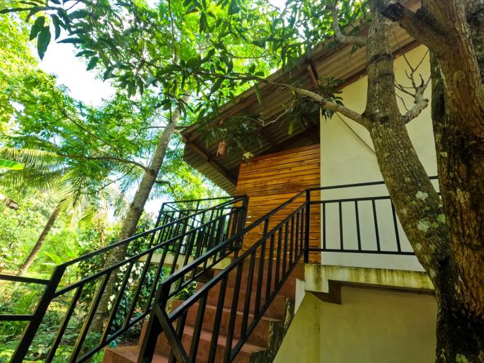 Jungle Resort Home Stay