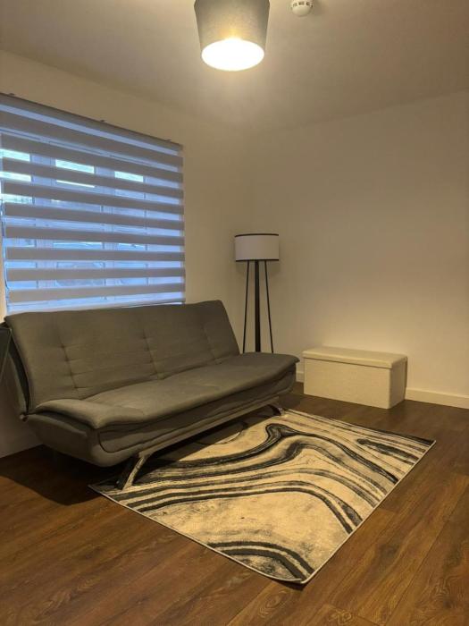 Modern spacious flat