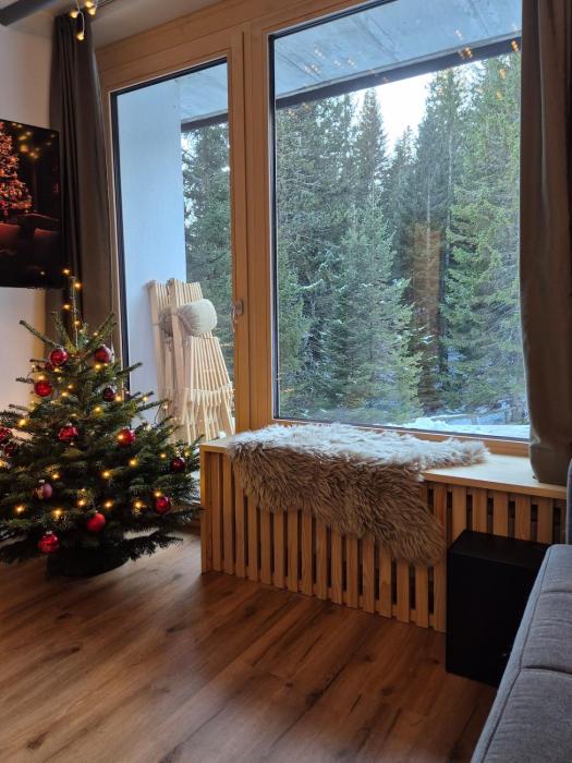 New cosy apartment, smučišče Krvavec