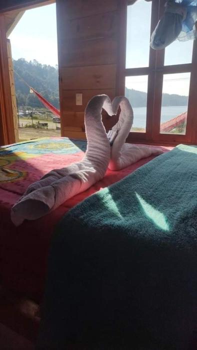 Cabañas la frontera