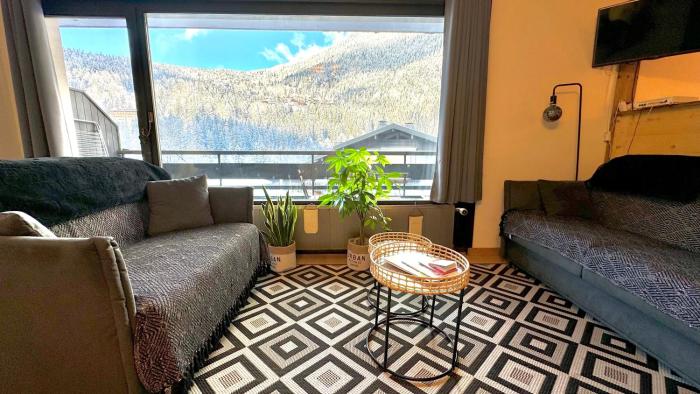 Apartement vue montage magnifique 2ch 5mn piste 3