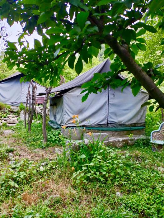 woodland camping tent jibhi