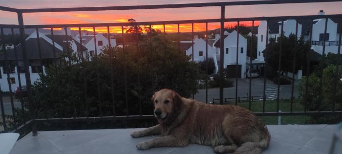 Escape to tranquility in the Cape Winelands