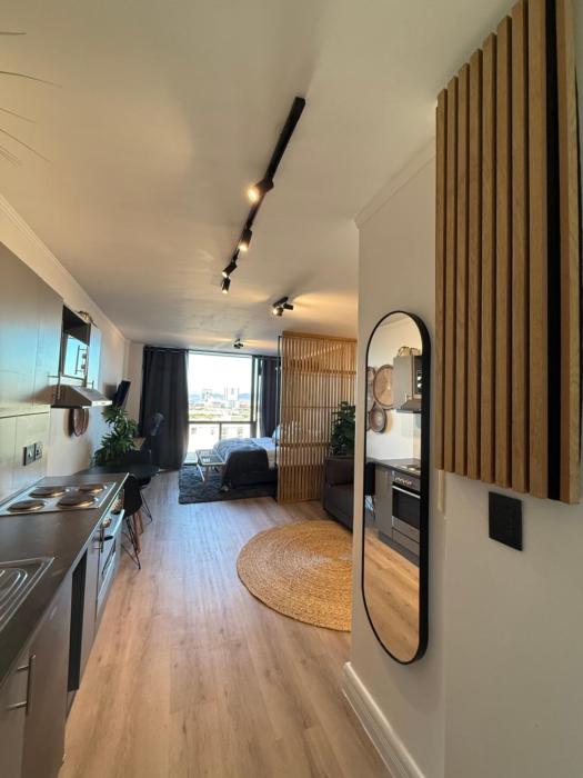 Modern studio apartment