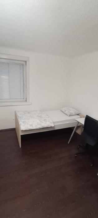 Single room in student apartment