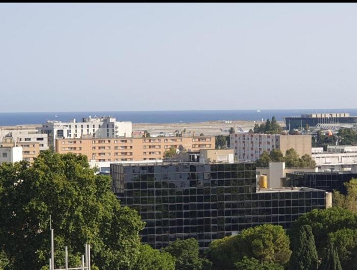 Grand Appartement 5 chambres, 5 télévision , 95 m2, vue mer, tramway sur place, gare train 2 min, aéroport 5 min , Large Apartment 5 bedrooms, 5 televisions, 95 m2, sea view, tram on site, train station 2 mins, airport 5 mins