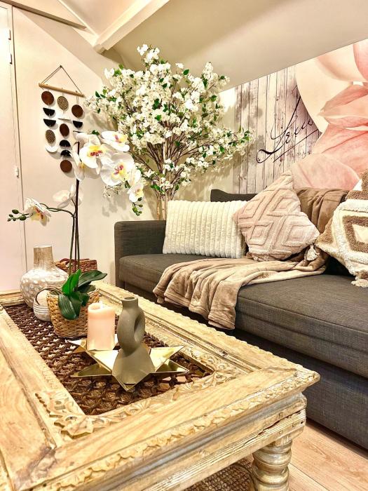 Luxury & chic apartment with terraces 10min from Paris