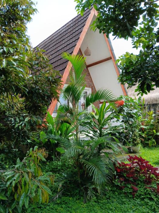 Green Haven Homestay