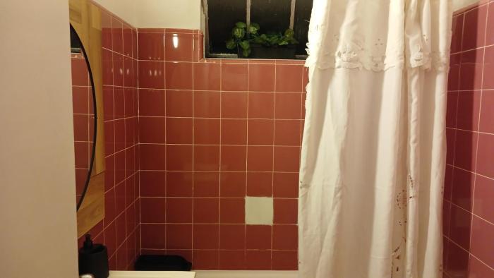 Tranquilo y luminoso departamento en Caballito