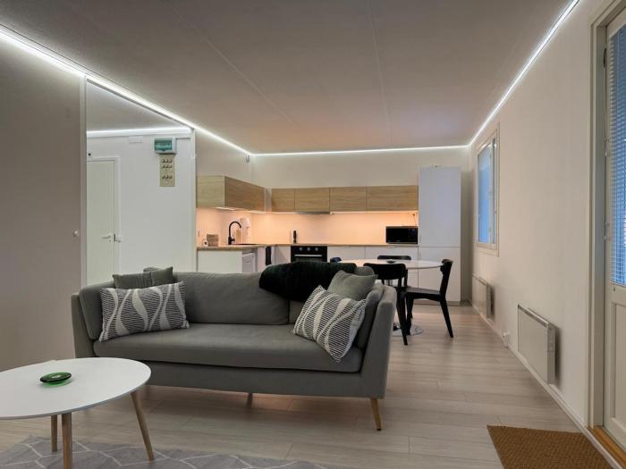 Modern and spacious apartment with a separate bedroom