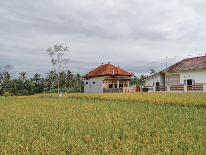 Maha House Mid of Ricefields
