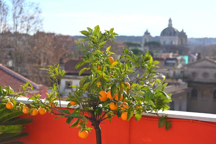 Farnesina Rooftop Terrace