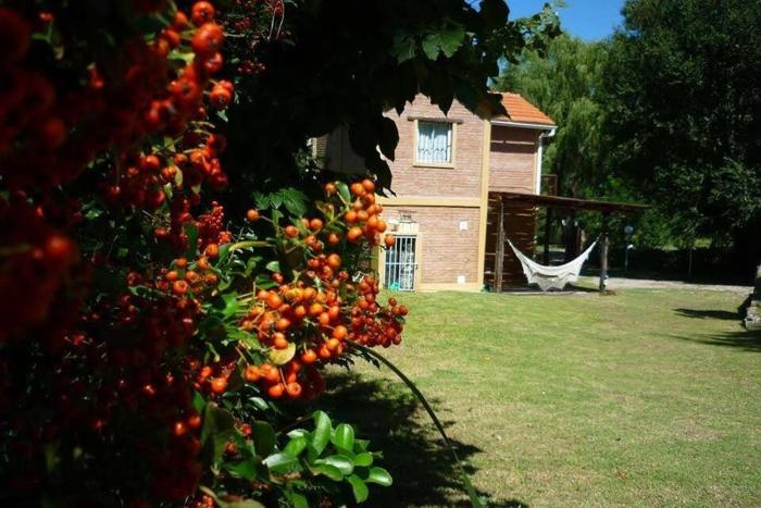 Cabañas Cuñas del Trapiche