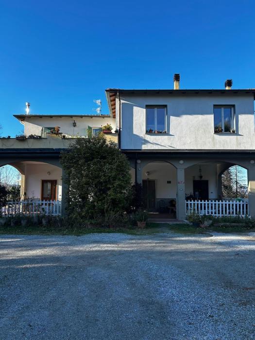 Le camelie 2 di Francesca