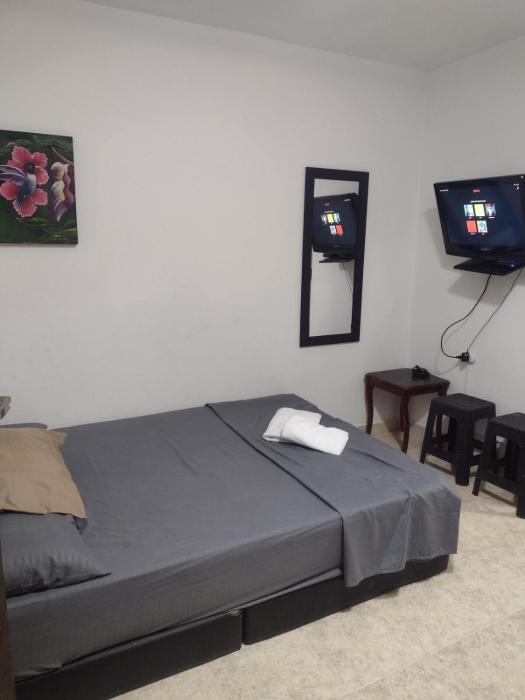 apartment cozy studio