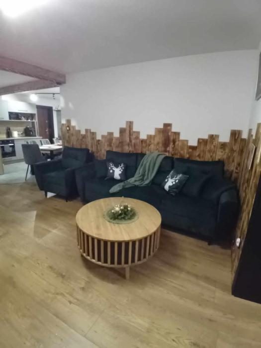 Apartament Góralski Duet 8-osobowy - dwupoziomowy apartament na wyłączność