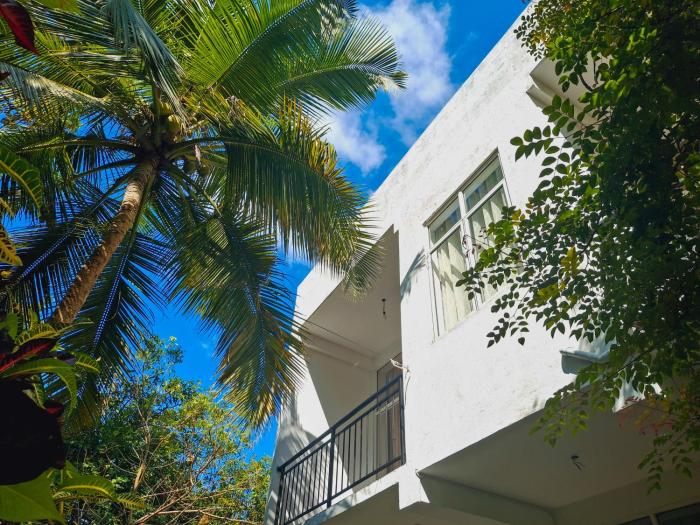 Zeleny Retreat Home Stay
