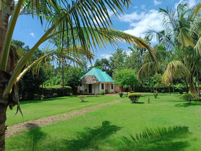 Peace and Love Garden