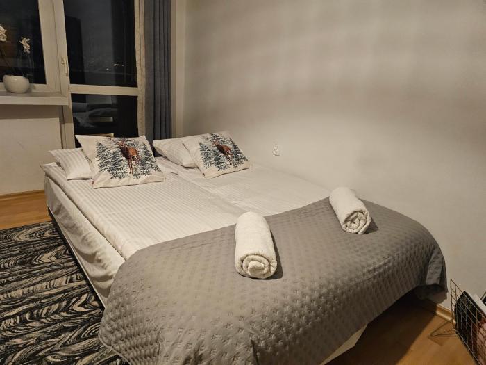 Apartament przy Krupówkach Szarotka