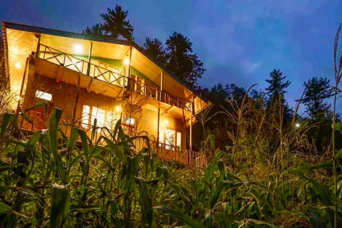 Nature View Cottage jibhi