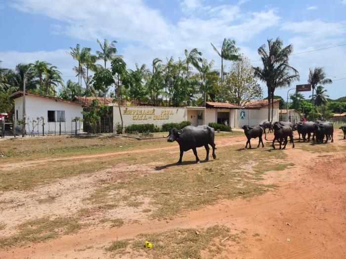 Hospedagem e queijaria Péua